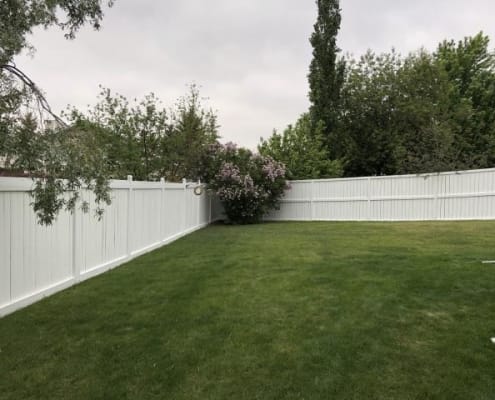Fence Painting Kingston - After