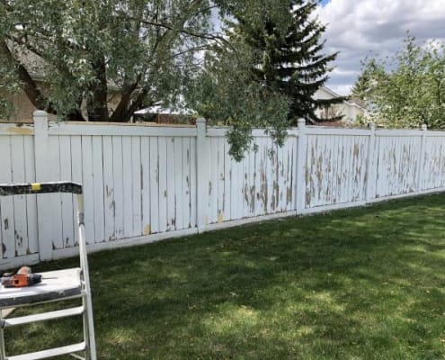 Fence Painting Kingston - Before